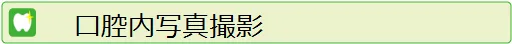 口腔内写真