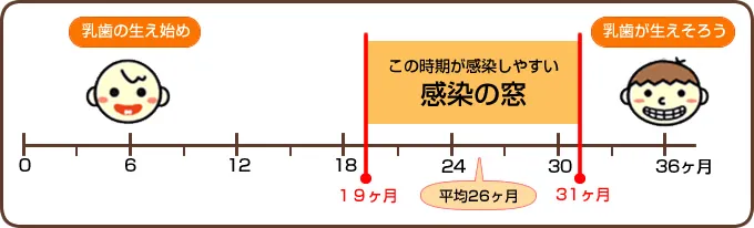 感染の窓2